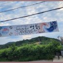 합기도 비호관 이미지