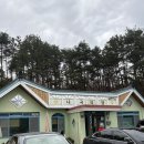 나곡 | 울진 추어탕,돈까스 맛집 나곡식당 평일 오픈런 후기