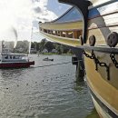 메이플라워 이미지