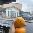 성지골추어탕 이미지