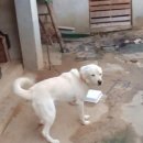 성계자동차 이미지