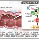 크론