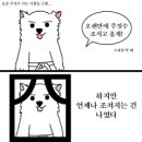 데프짐 네이버블로그