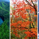 장백산 - 안산시 상록구 안산대학로 101 | 장백산