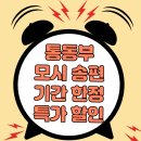 영광 낙원떡집 통동부송편 세일합니다. 이미지