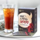 애플트리 이미지