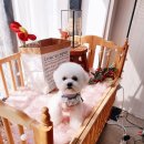 도담도담이발소 이미지