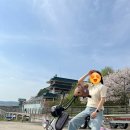 바이크 고카트 라이딩 피크닉 이색데이트 바이크X텐트 후기(대여방법, 종류, 가격, 운전법, 위치, 운전...