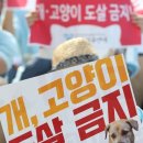 진기제 이미지