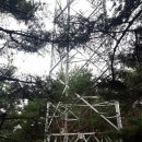팔공산녹색길 숲길 2코스 티스토리