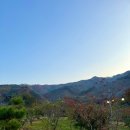 엉클하우스 | 무주 1박2일 여행:::에어비앤비 숙소 '엉클하우스' 내돈내산 솔직 후기