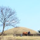 다라국황금이야기길 이미지