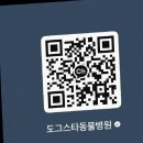 스타동물병원 이미지