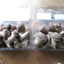 명지농원 이미지