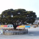 관창초등학교 이미지