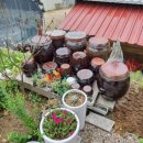 하준농장 이미지