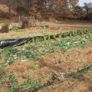 한가람농장 이미지