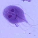 서공동물병원 이미지