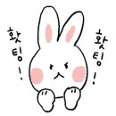 헤어리201