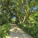 숲속의 펜션 이미지