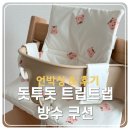 트립디자인 | [언박싱&후기] 가성비 돗투돗 쿠션 트립트랩 방수 쿠션 귀여운 디자인 추천(설치영상O)