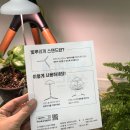 태양전파사 이미지