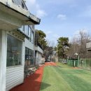 드린겐 애견테마파크 이미지