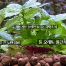 쌍둥이숯불갈비 이미지