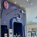 (주)기고 | [9개월 돌전아기랑 KTX타고 부산여행] 둘째날 : 극동돼지국밥, 국립부산과학관 새싹누리관, 나가하마...