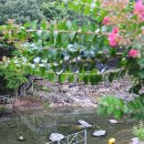 지리산나래울민박 이미지