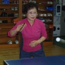 종합운동장 실내체육관 이미지