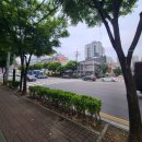 향촌삼거리 네이버블로그