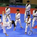 한양태권도체육관 이미지