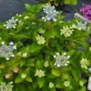 안단테펜션 이미지