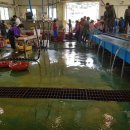 거제활어 이미지