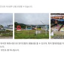 반딧불1 이미지