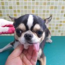 아산호로 이미지