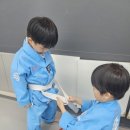 용인대 수영 태권도장 이미지