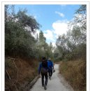 화이트밸리 이미지