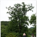 양평밸리관광펜션 이미지