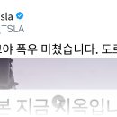 ㅇㅇㅇ 나고야 폭우로 도로 다 잠겼대 이미지