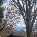 고봉경로당 이미지