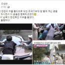 감동세차