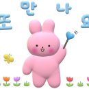 아웃백스테이크하우스코 이미지