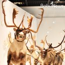 주식회사비엠비
