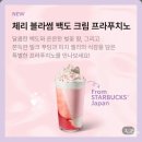 반도유보라1차 521동 맞은편 | 스타벅스 신메뉴 에어로카노 체리블라썸 백도크림 프라푸치노 새단장한 동탄카림점에서 먹어본 후기