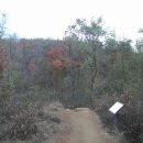 지양산 생태순환길 이미지