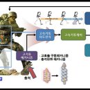 미래슈퍼 이미지