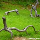 아프리카박물관 이미지