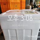 대구염소유통